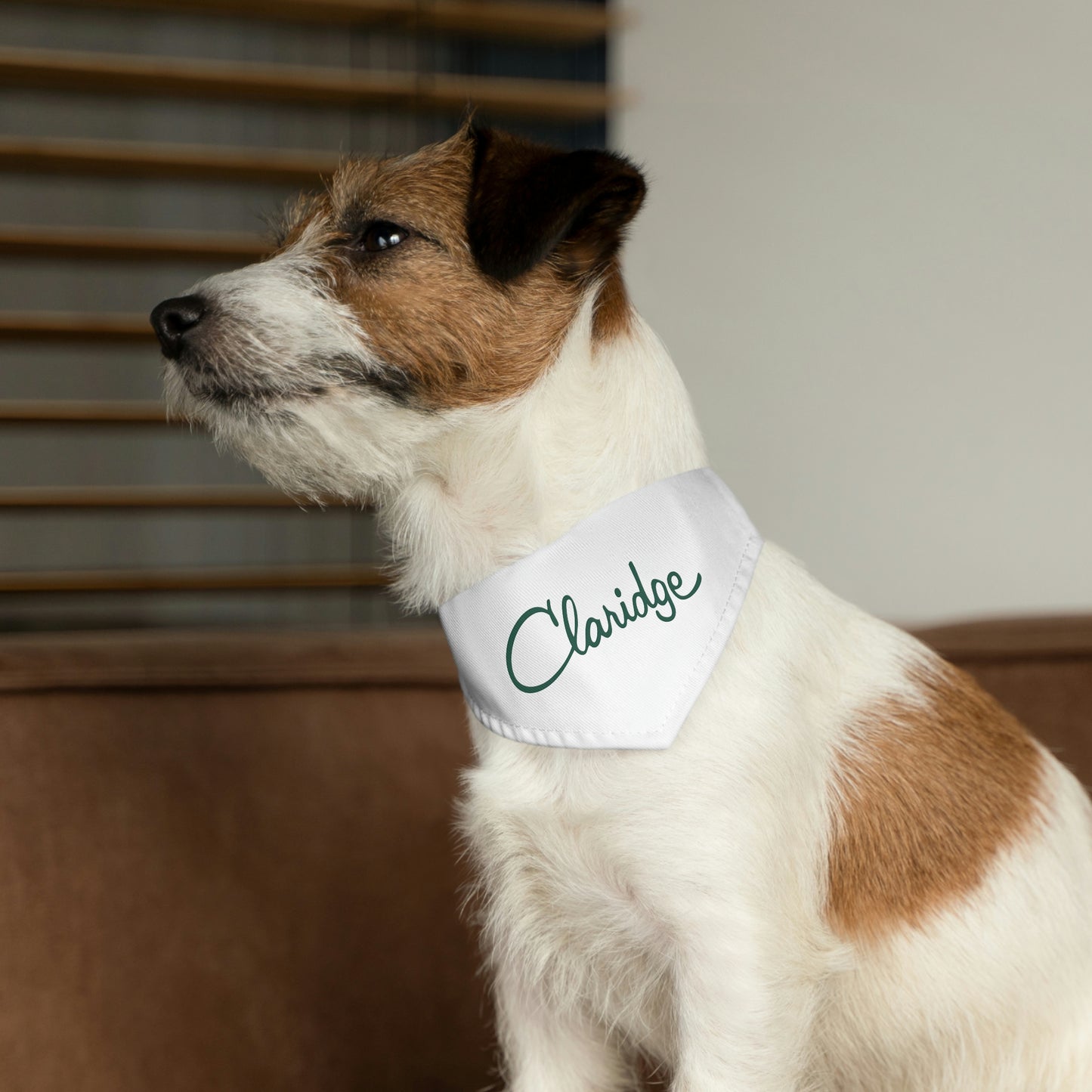 Pet Bandana Collar